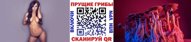 Галлюциногенные грибы Cubensis  где купить наркоту  Усолье 